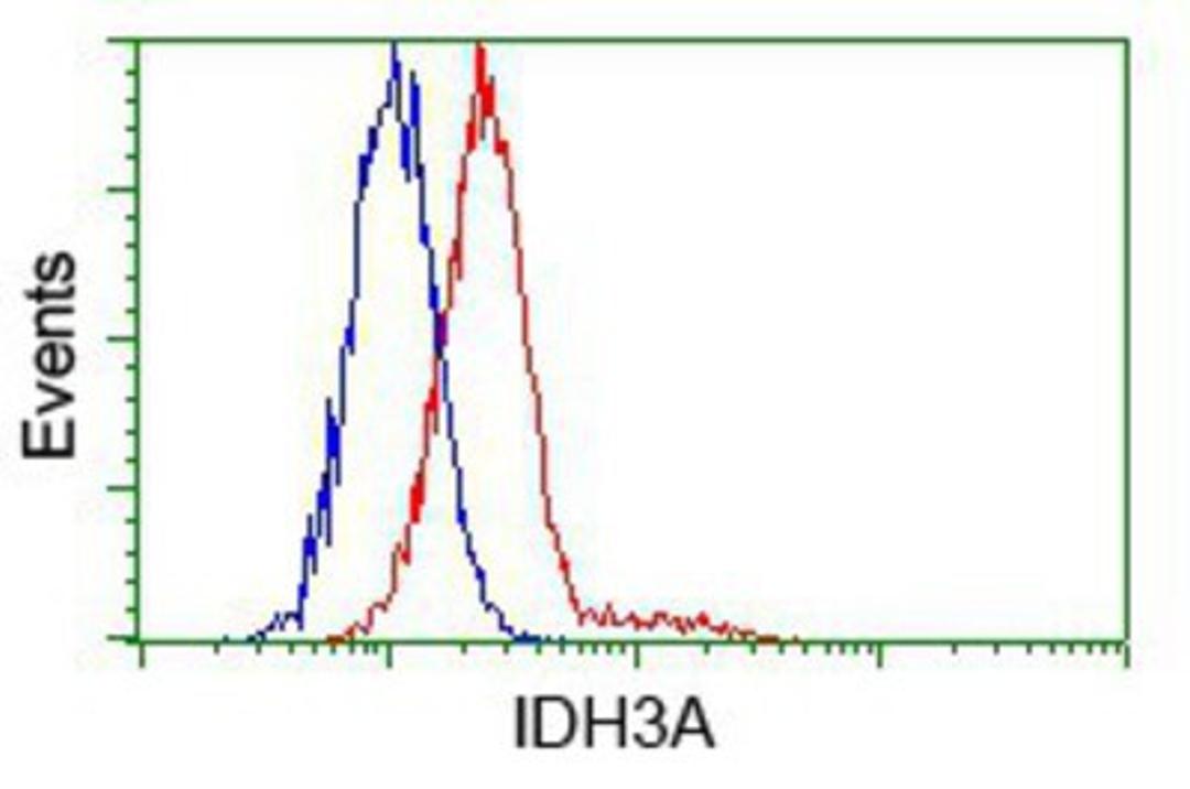 Flow Cytometry: IDH3A Antibody (2F11) [NBP2-02158] - Analysis of Hela cells, using anti-IDH3A antibody, (Red) compared to a nonspecific negative control antibody (Blue).