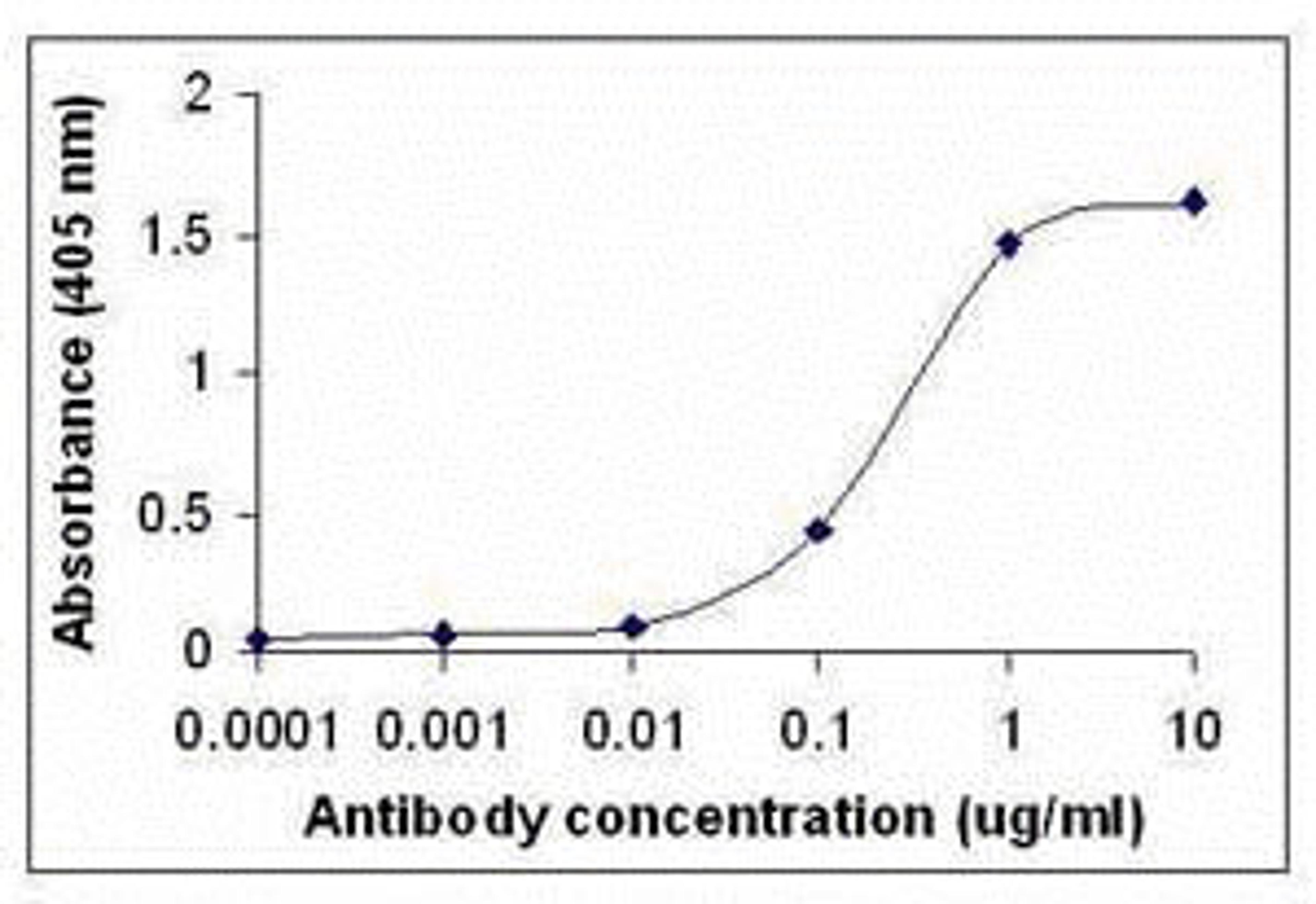 Peptide as test antigen. Affi-pure IgY as primary antibody and Goat anti-IgY-HRP as 2nd antibody. Fixed amount of antigen (5 ug/mL) and serial dilutions of IgY.