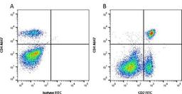 Figure A. mouse anti bovine CD4. Figure B. mouse anti bovine CD4 and mouse anti bovine CD2. 