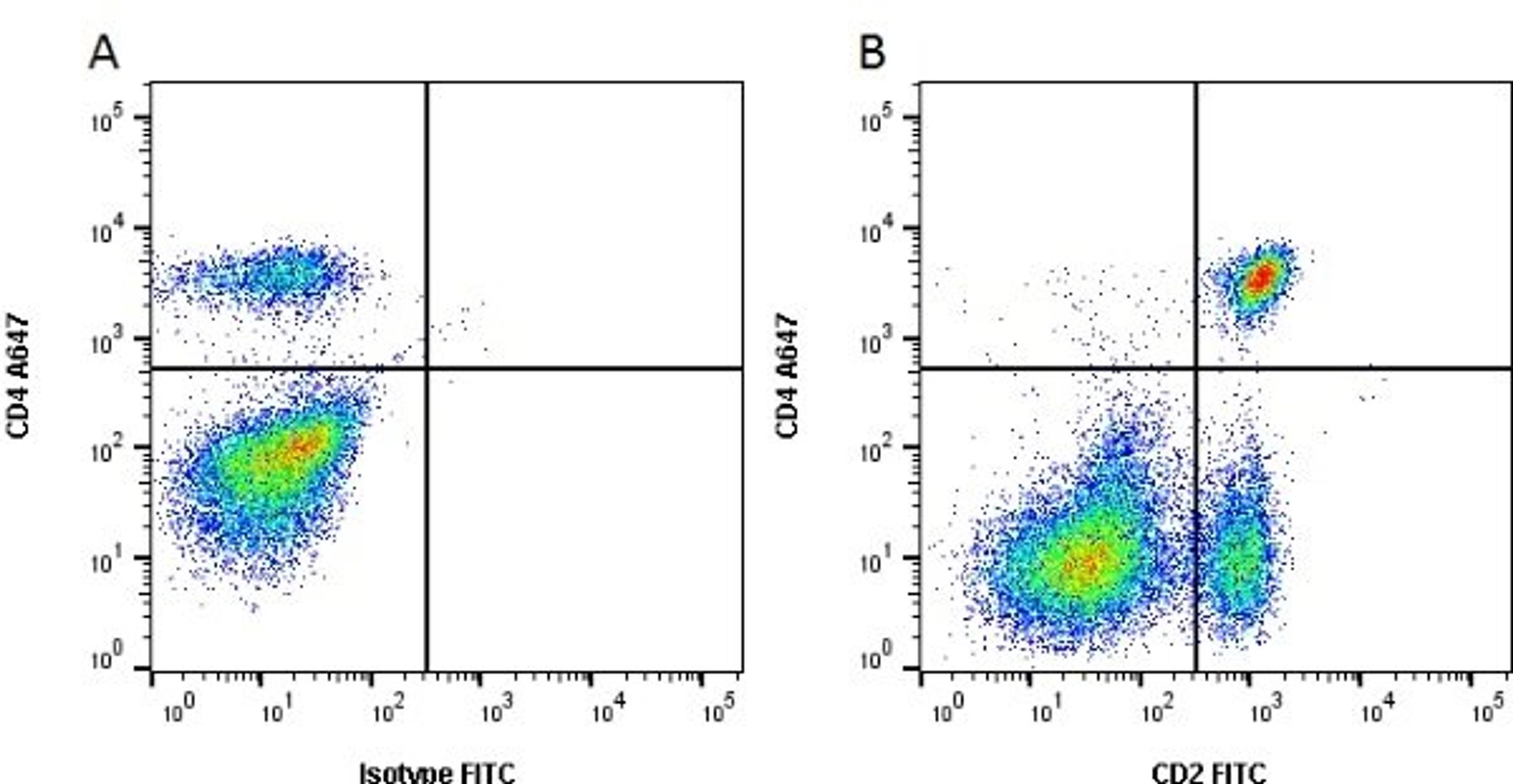 Figure A. mouse anti bovine CD4. Figure B. mouse anti bovine CD4 and mouse anti bovine CD2. 