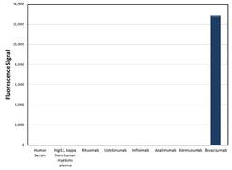 Human Anti-Bevacizumab Antibody specificity ELISA