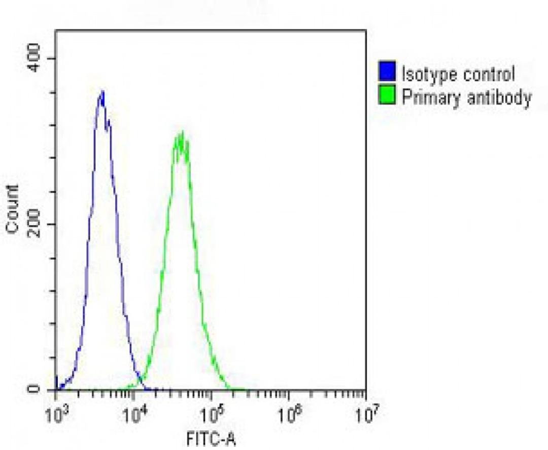 Overlay histogram showing NIH/3T3 cells stained with Antibody (green line). The cells were fixed with 2% paraformaldehyde (10 min) and then permeabilized with 90% methanol for 10 min. The cells were then icubated in 2% bovine serum albumin to block non-sp