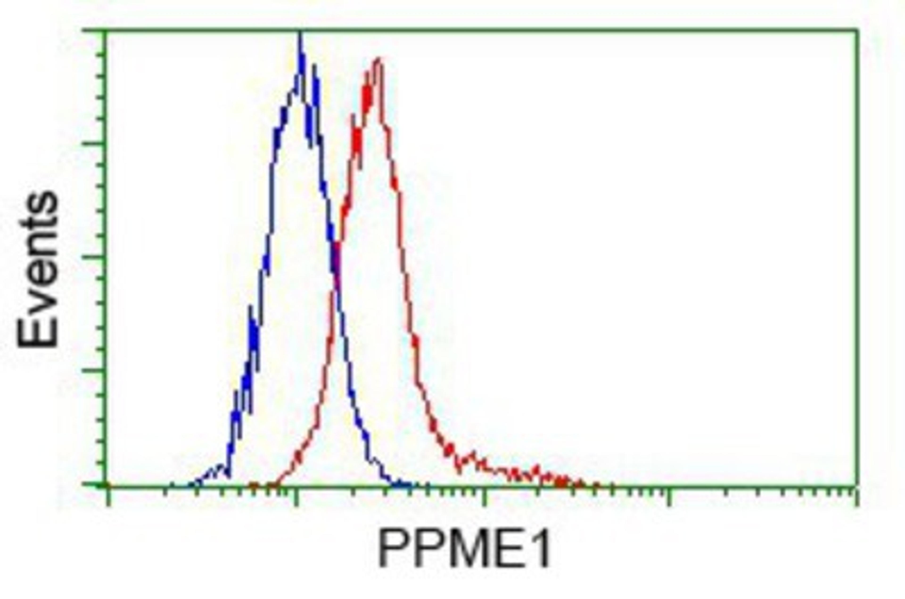 Flow Cytometry: PPME1 Antibody (7F12) [NBP2-02240] - Analysis of Hela cells, using anti-PPME1 antibody, (Red) compared to a nonspecific negative control antibody (Blue).