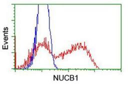 Flow Cytometry: Nucleobindin 1 Antibody (1A5) [NBP2-01446] - HEK293T cells transfected with either overexpression plasmid (Red) or empty vector control plasmid (Blue) were immunostained by anti-Nucleobindin 1 antibody, and then analyzed by flow cytometry.