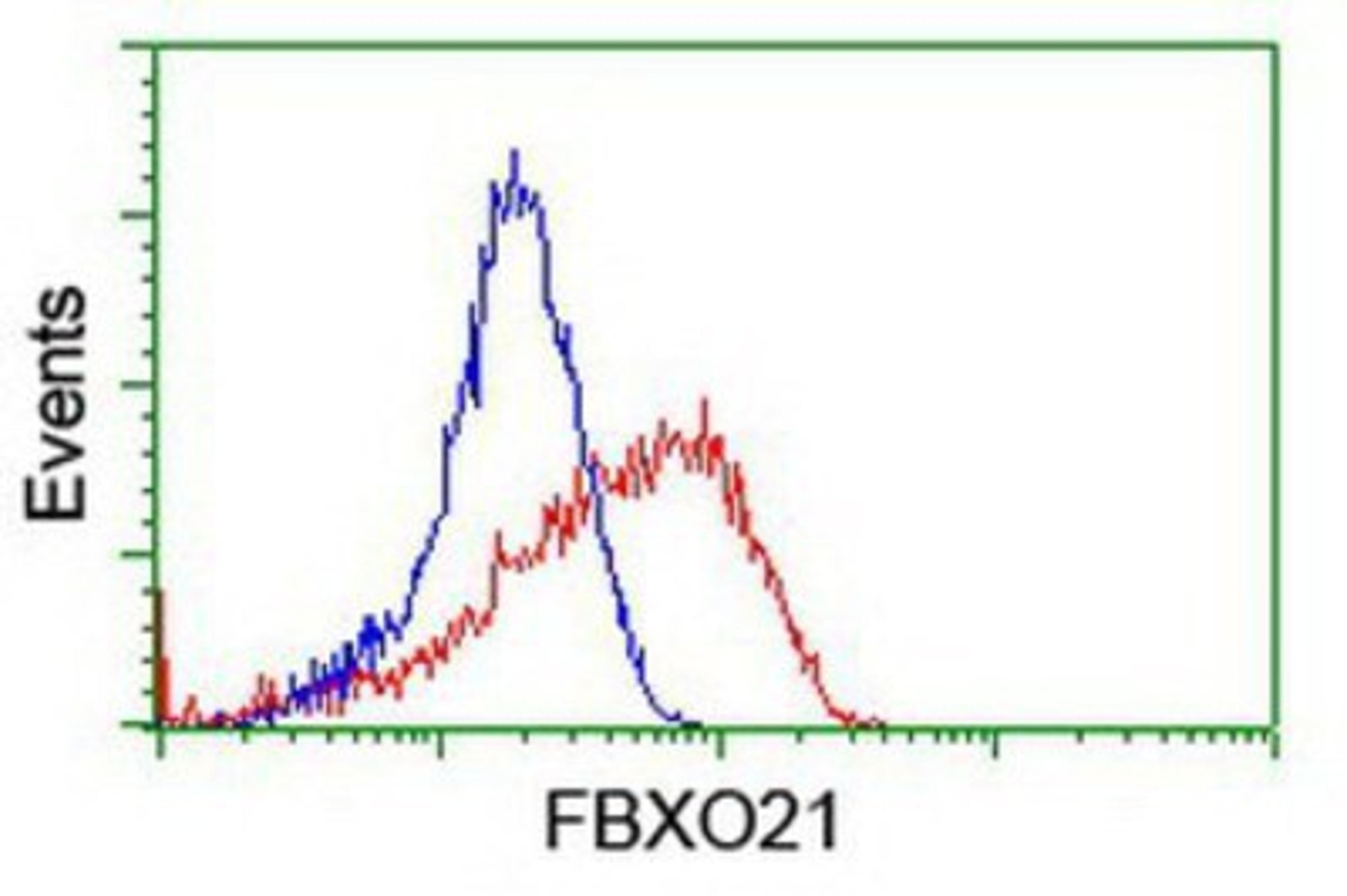 Flow Cytometry: FBXO21 Antibody (2C7) [NBP2-01569] - Analysis of Hela cells, using anti-FBXO21 antibody, (Red), compared to a nonspecific negative control antibody (Blue).