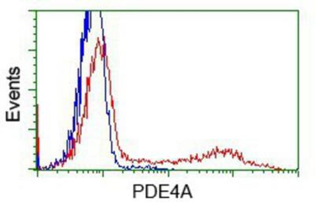 Flow Cytometry: Phosphodiesterase 4A/PDE4A Antibody (1C8) [NBP2-02559] - HEK293T cells transfected with either overexpression plasmid (Red) or empty vector control plasmid (Blue) were immunostained by anti-PDE4A antibody, and then analyzed by flow cytometry.