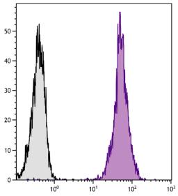 Human peripheral blood lymphocytes were stained with Mouse Anti-Human CD45-PE (Cat. No. 99-536).