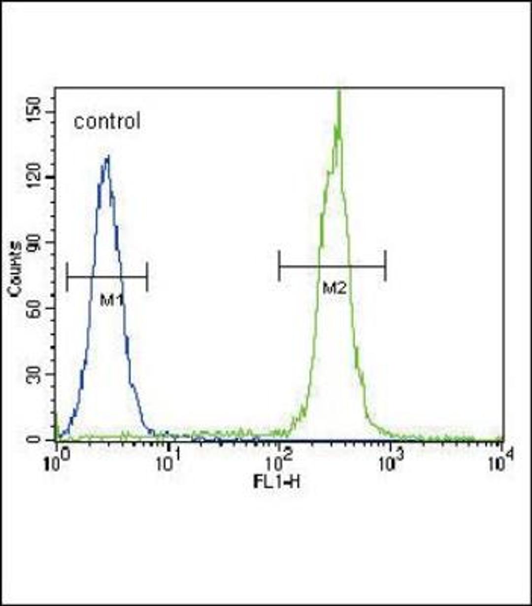 Flow Cytometry: Betacellulin/BTC Antibody [NBP2-30011] - Flow cytometric analysis of Hela cells (right histogram) compared to a negative control cell (left histogram).FITC-conjugated goat-anti-rabbit secondary antibodies were used for the analysis.