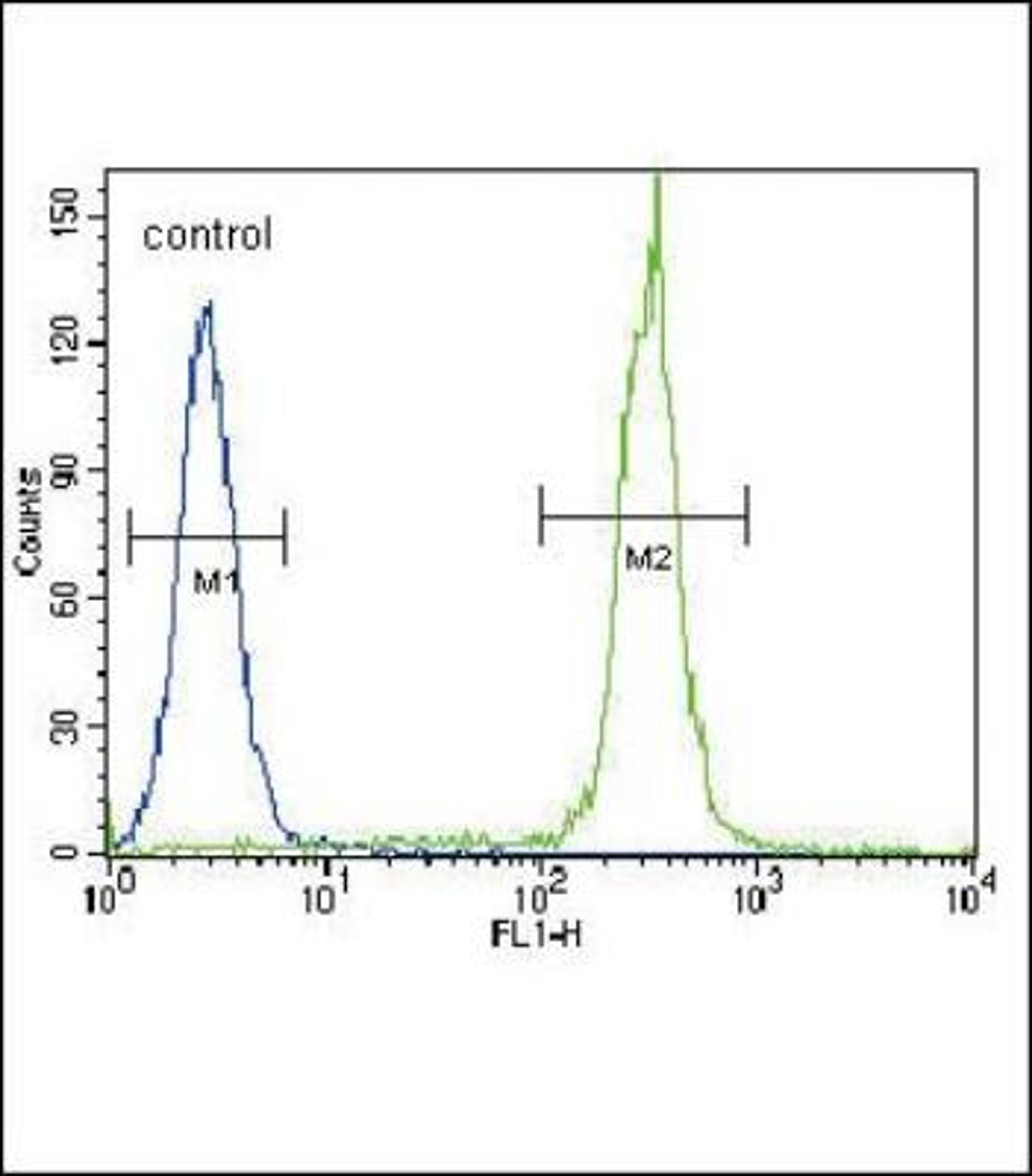 Flow Cytometry: Betacellulin/BTC Antibody [NBP2-30011] - Flow cytometric analysis of Hela cells (right histogram) compared to a negative control cell (left histogram).FITC-conjugated goat-anti-rabbit secondary antibodies were used for the analysis.