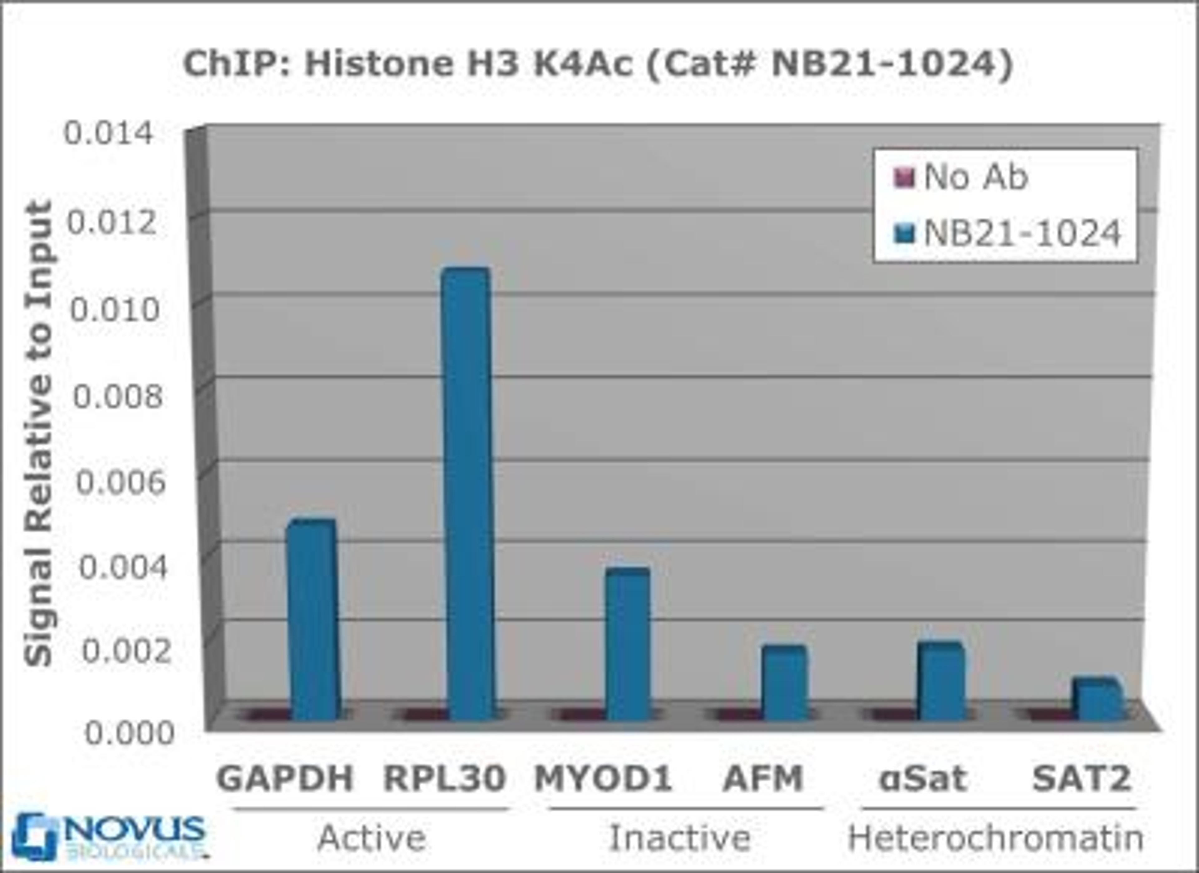 Chromatin Immunoprecipitation: Histone H3 [ac Lys4] Antibody [NB21-1024] - Histone H3 [ac  Lys4] Antibody [NB21-1024] - Chromatin from one million formaldehyde cross-linked Hela cells was used with 2ug of NB21-1024 and 20ul of magnetic IgG beads per immunoprecipitation. A no antibody (No Ab) control was also used. Immunoprecipitated DNA was quantified using quantitative real-time PCR and SYBR green dye, then normalized to the non-precipitated input chromatin, which is equal to one.