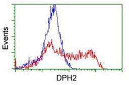 Flow Cytometry: DPH2 Antibody (4E7) [NBP2-03732] - HEK293T cells transfected with either overexpression plasmid (Red) or empty vector control plasmid (Blue) were immunostained by anti-DPH2 antibody, and then analyzed by flow cytometry.