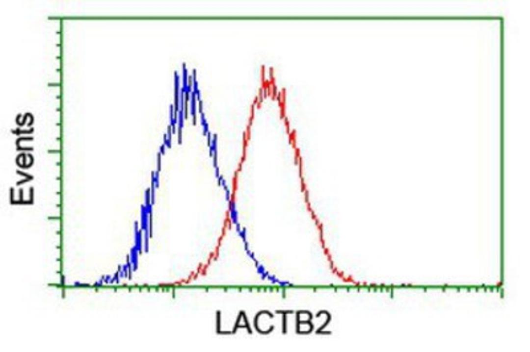 Flow Cytometry: lactamase, beta 2 Antibody (2F9) [NBP2-00509] - Analysis of Hela cells, using anti-lactamase, beta 2 antibody, (Red), compared to a nonspecific negative control antibody (Blue).