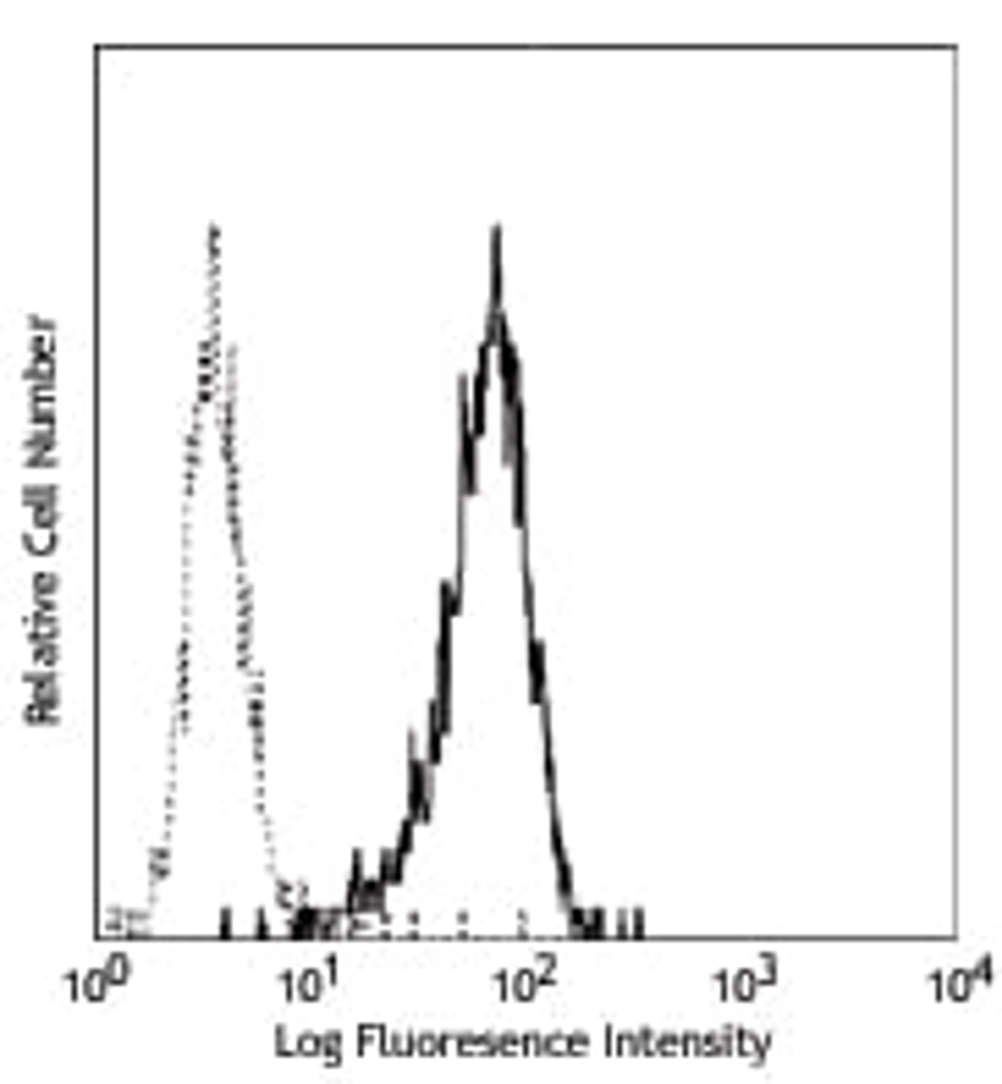 PMA activated human granulocytes stained with CBRM1/5 FITC