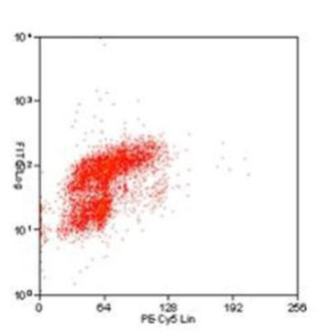 Flow Cytometry: Bromodeoxyuridine/BrdU Antibody (BU1/75 (ICR1)) [NB500-169] - Analysis using the HRP conjugate of NB500-169. Staining of BrdU in cells using Rat anti BrdU:FITC (NB500-169H) counterstained with propidium iodide.