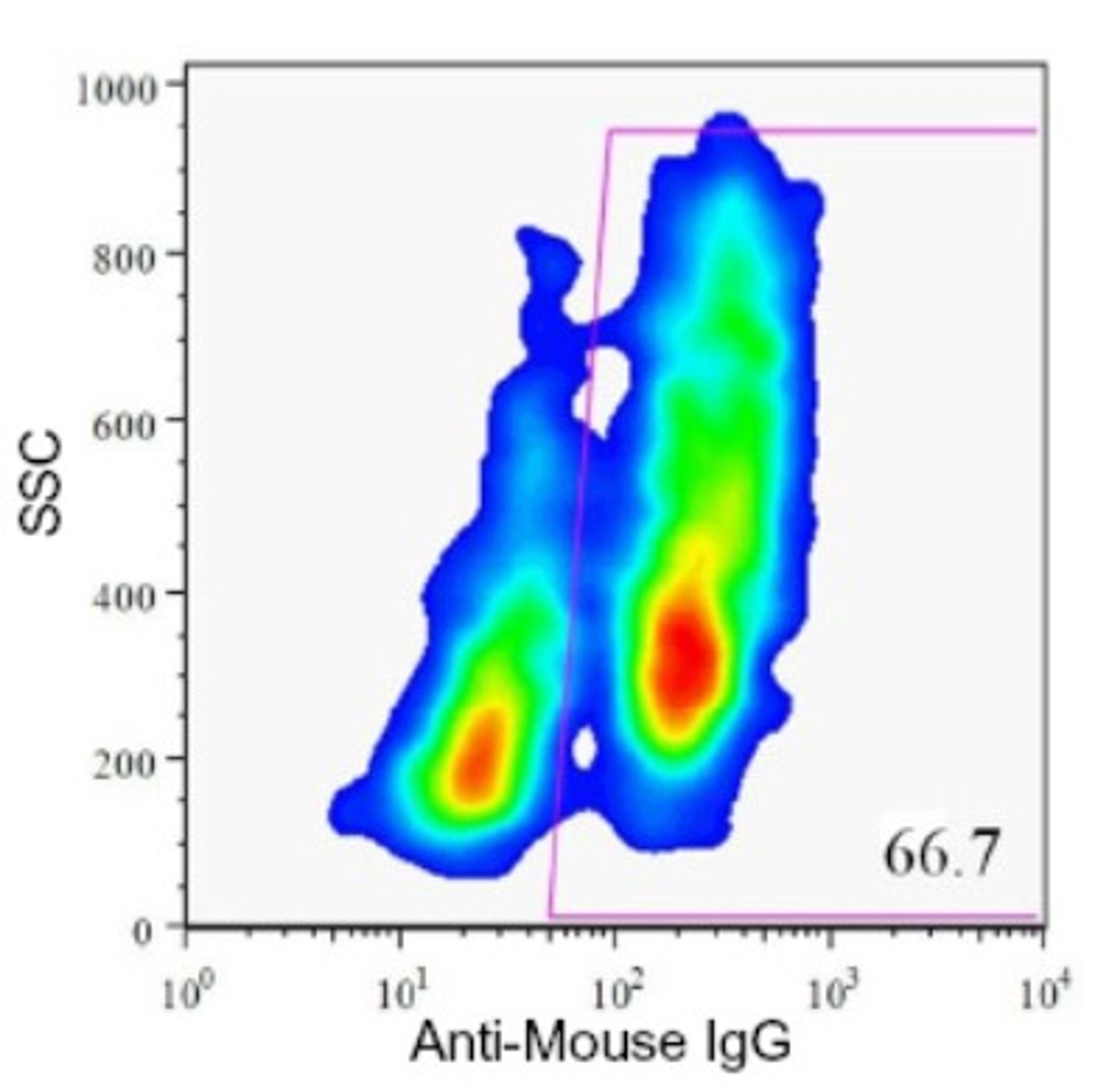 Flow Cytometry: HPi4 Antibody (HIC1-5F10) [NBP1-18948] - Analysis of enzyme dispersed human pancreas cells.