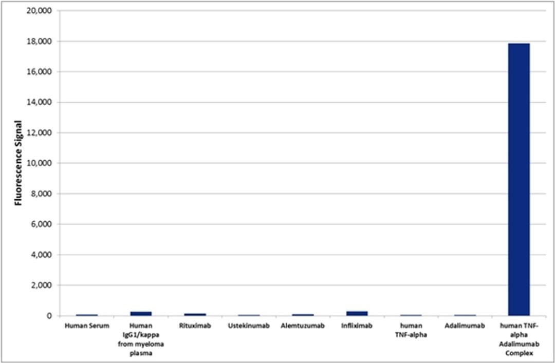 HCA206 specificity ELISA using various antigens as coating reagents.