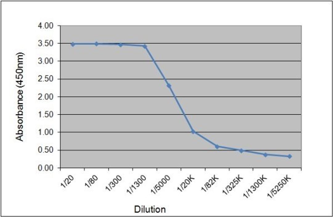 ELISA analysis of recombinant Human IgA1 lambda