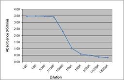 ELISA analysis of recombinant Human IgA1 lambda