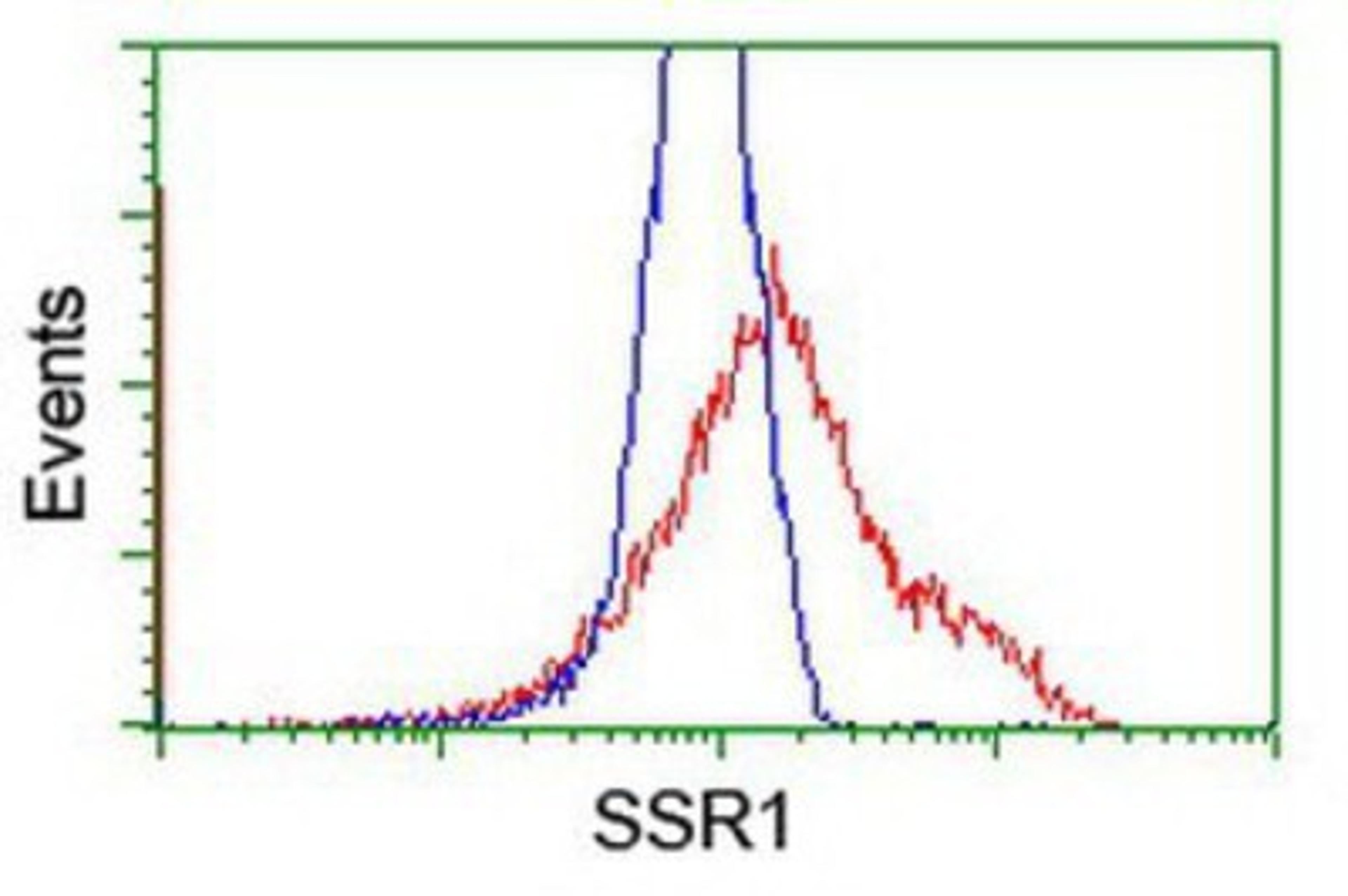 Flow Cytometry: TRAP alpha Antibody (4C7) [NBP2-01026] - HEK293T cells transfected with either overexpression plasmid (Red) or empty vector control plasmid (Blue) were immunostained by anti-TRAP alpha antibody, and then analyzed by flow cytometry.