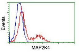 Flow Cytometry: MEK4 Antibody (8A8) [NBP1-47839] - HEK293T cells transfected with either overexpression plasmid (Red) or empty vector control plasmid (Blue) were immunostained by anti-MEK4 antibody, and then analyzed by flow cytometry.