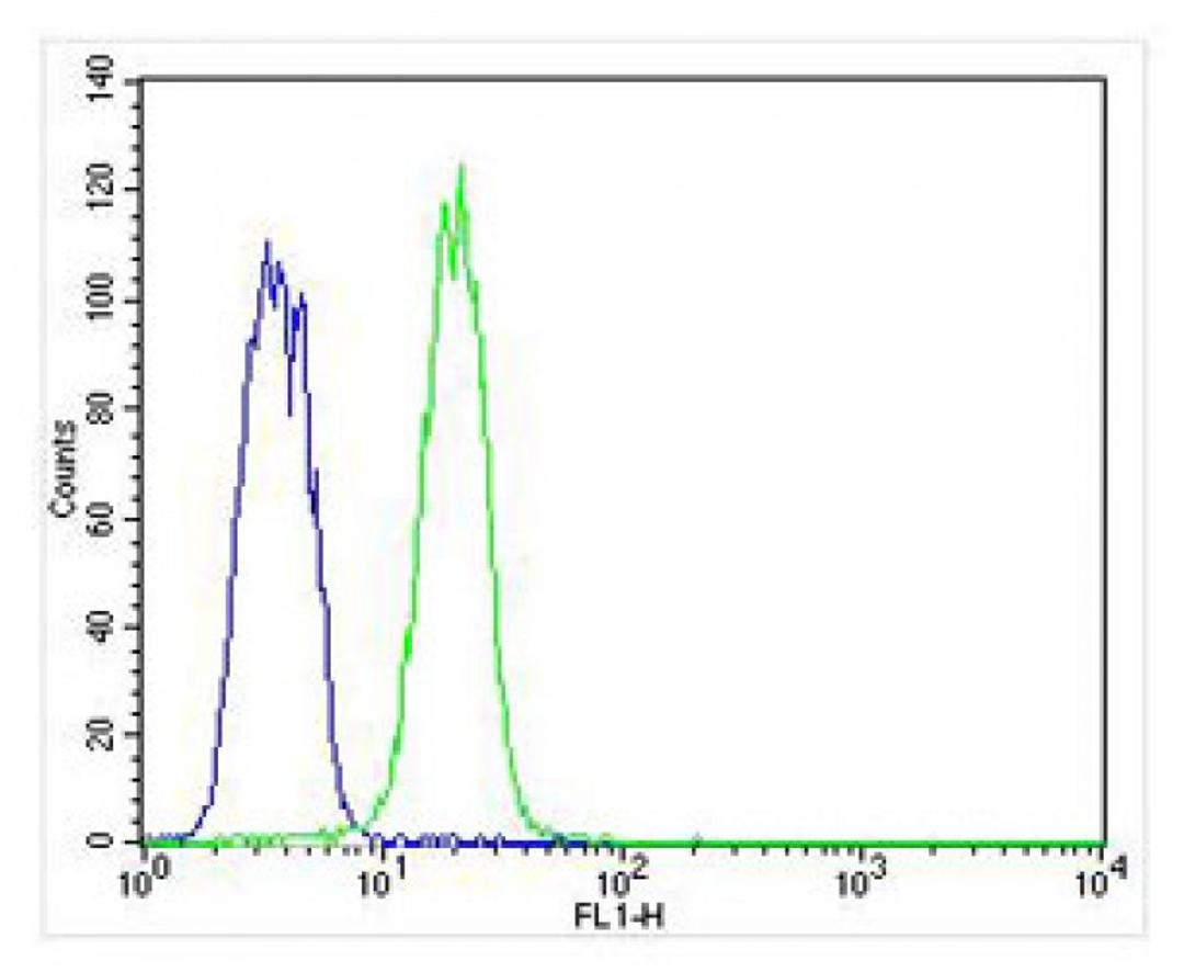 Overlay histogram showing K562 cells stained with Antibody (green line). The cells were fixed with 4% paraformaldehyde (10 min) and then permeabilized with 90% methanol for 10 min. The cells were then icubated in 2% bovine serum albumin to block non-speci