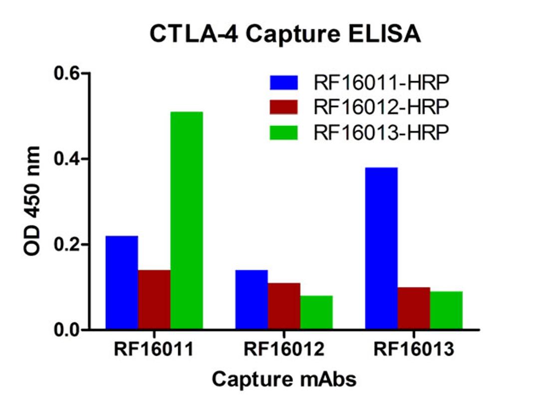 A sandwich ELISA was performed using the anti-CTLA-4 mAbs RF16011, RF16012, RF16013, as the capture antibodies for the CTLA-4 extracellular domain antigen with HRP-labeled Risk-Free anti-CTLA-4 mAbs as the detection antibodies.