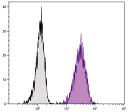 Human monocytic cell line U937 was stained with Mouse Anti-Human CD105-APC (Cat. No. 99-597).