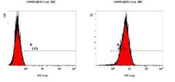 Flow Cytometry: Cripto1 Antibody [NB100-1598] - Staining of NTERA-2 cells using NB100-1598 at a 1:50 dilution detected using Dylight-488 conjugated goat anti-rabbit IgG secondary antibody.