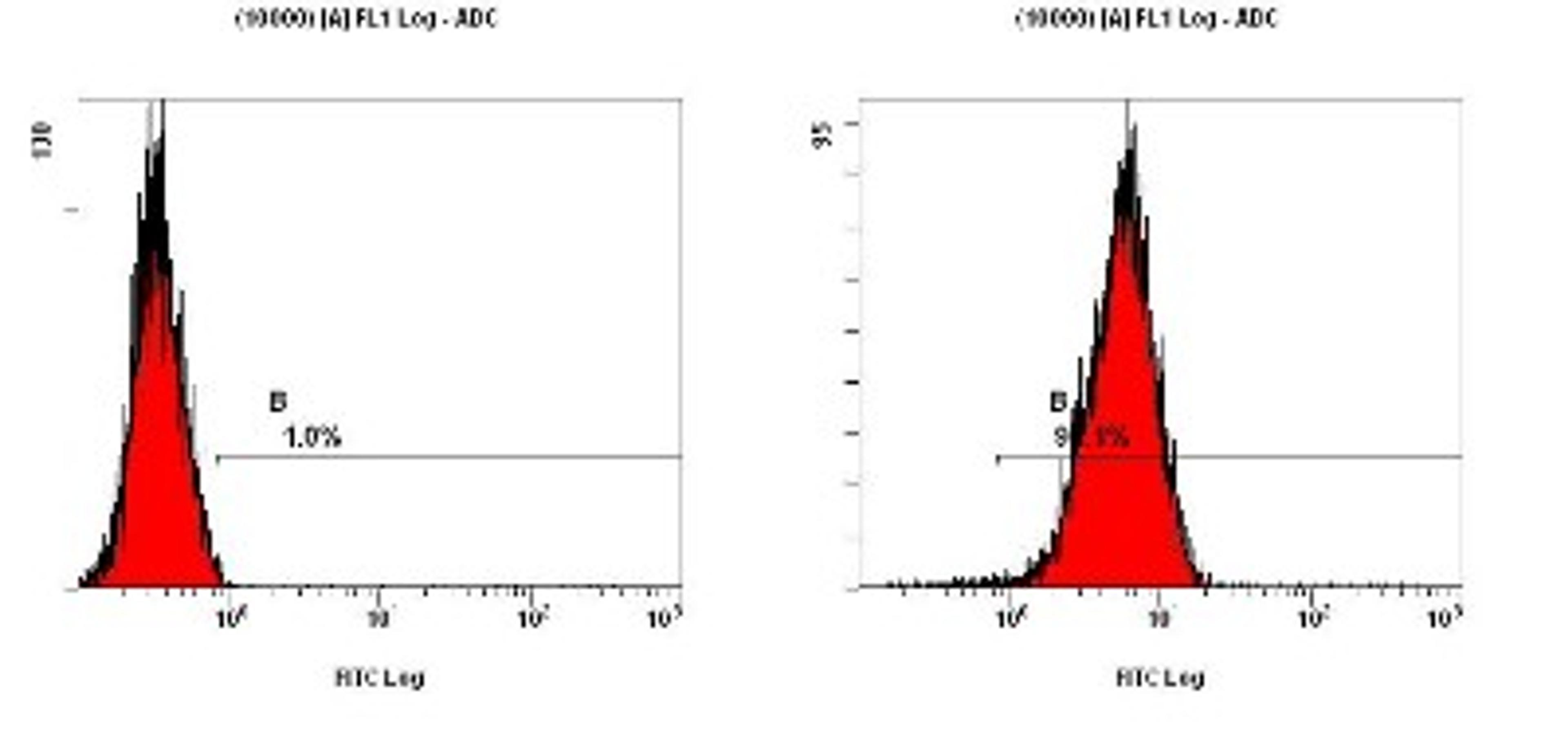 Flow Cytometry: Cripto1 Antibody [NB100-1598] - Staining of NTERA-2 cells using NB100-1598 at a 1:50 dilution detected using Dylight-488 conjugated goat anti-rabbit IgG secondary antibody.