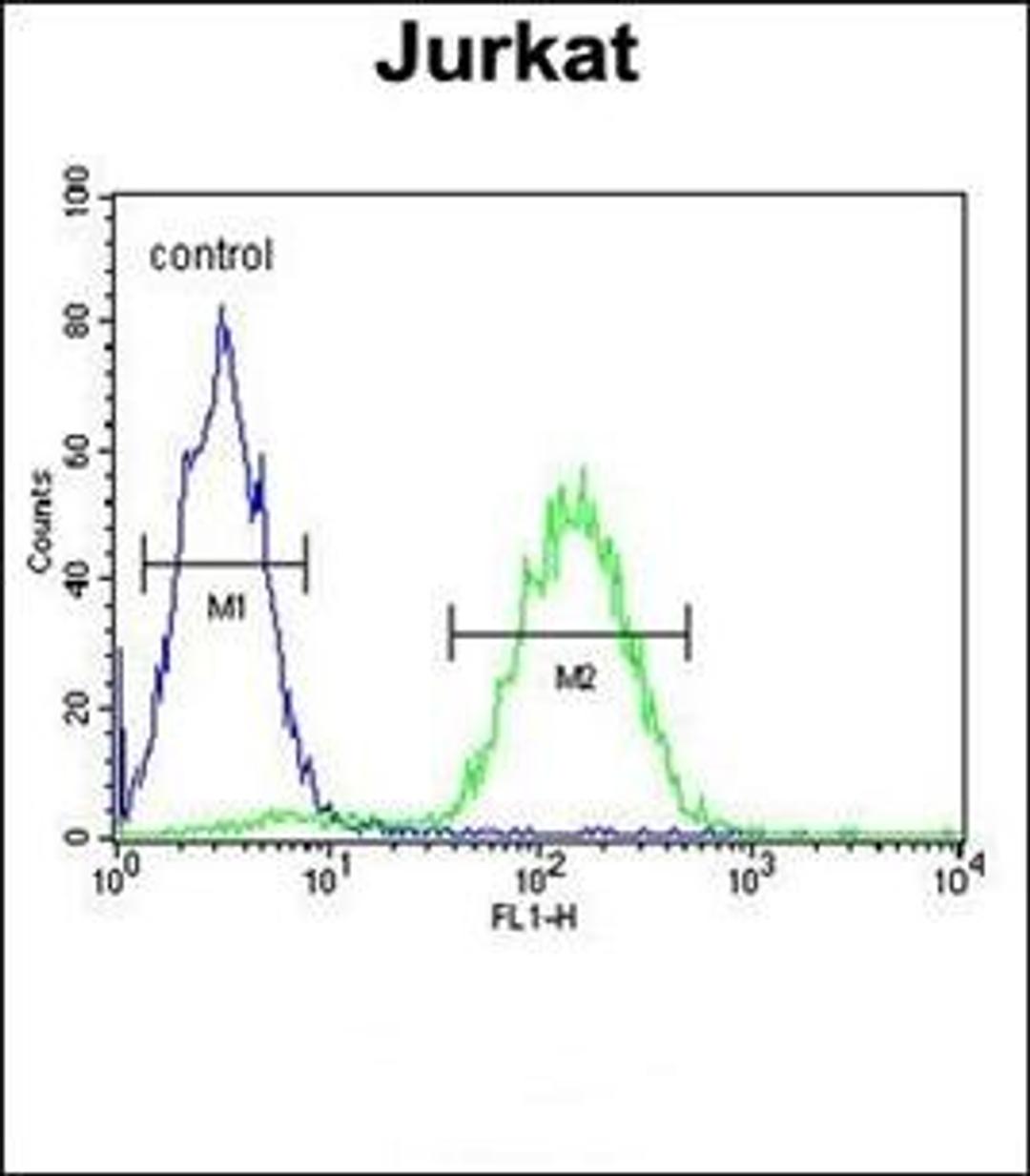 Flow cytometric analysis of Jurkat cells using MAGEA3 antibody (primary antibody dilution at: 1:10-50)