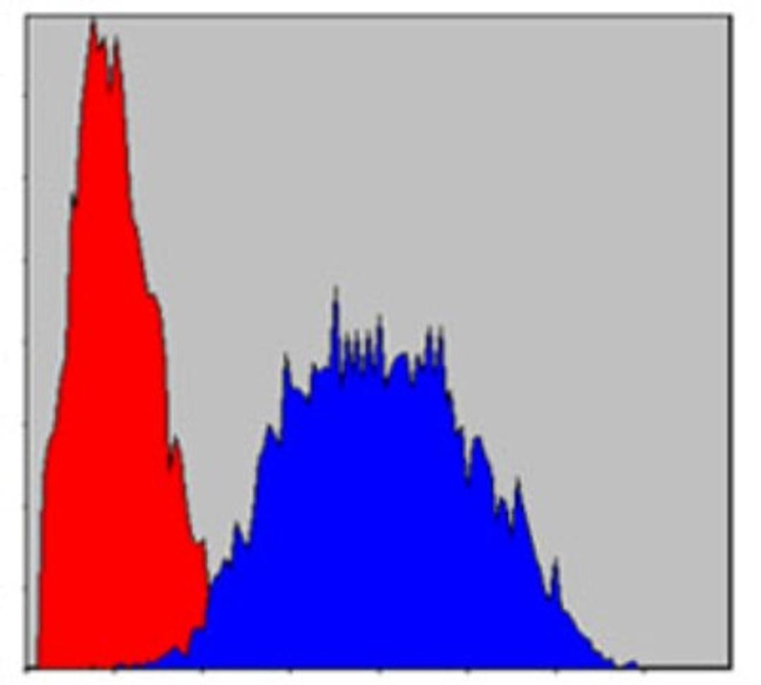 Flow Cytometry: PINCH1/LIMS1 Antibody (5G7) [NBP2-37581] - Flow cytometric analysis of Hela cells using PINCH mouse mAb (blue) and negative control (red).