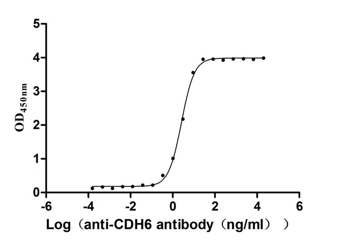 The Binding Activity of Human CDH6 with Anti-CDH6 Recombinant Antibody. Activity: Measured by its binding ability in a functional ELISA. Immobilized Human CDH6 (CSB-MP005055HU1) at 2 μg/mL can bind Anti-CDH6 recombinant antibody. The EC<sub>50</sub> is 2.421-2.802 ng/mL.