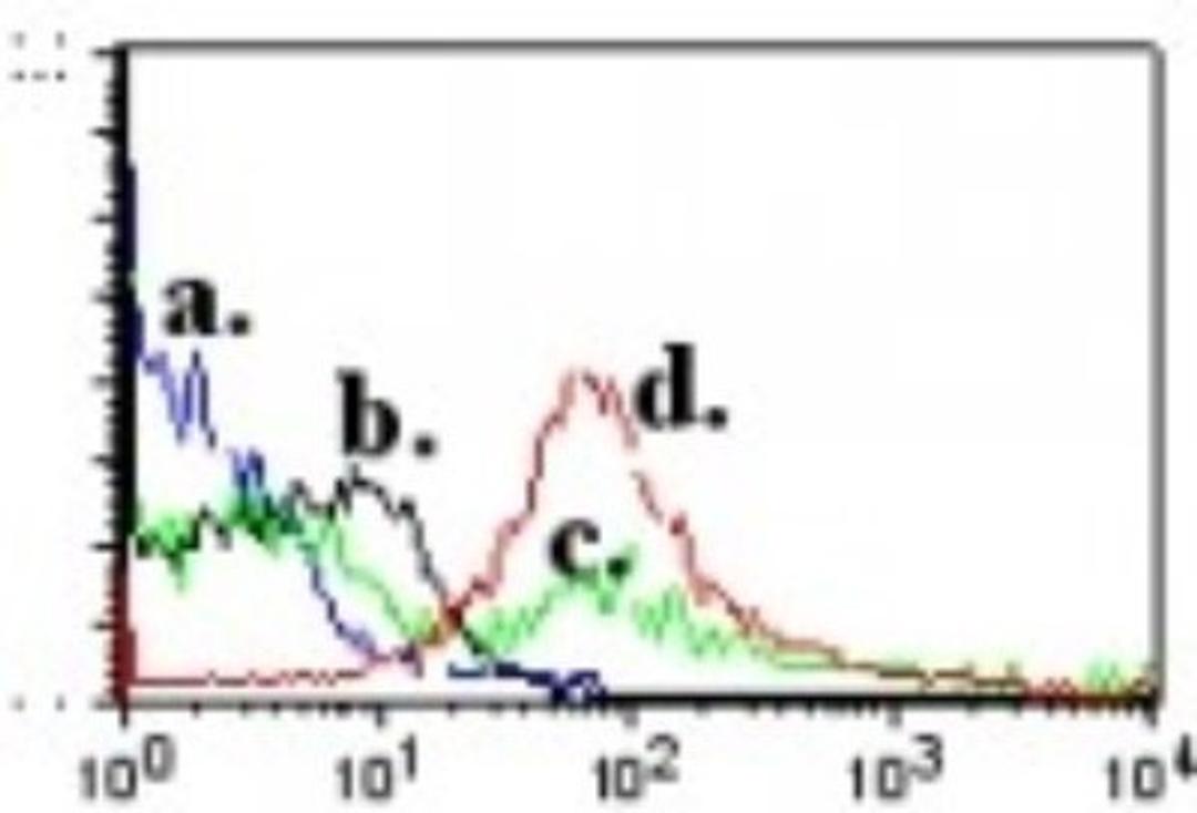 Flow Cytometry: QA1b Antibody (6A8.6F10.1A6) [NBP2-26649] - Analysis using the Biotin conjugate of NBP2-26649. Staining of resting and ConA activated (5ug/ml for 72 hr) BALB/C splenocytes using 0.5 ug of Qa-1b biotinylated antibody . CD3 positive cells were gated. Streptavidin - PE (SA-PE) was usedas secondary antibody. a) SA-PE resting cells. b) SA-PE ConA activated cells. c) Qa-1b resting cells. d) Qa-1b ConA activated cells.