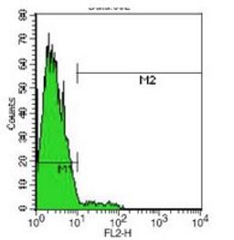 Flow cytometric analysis of Daudi Cells using CD80 antibody (PE)