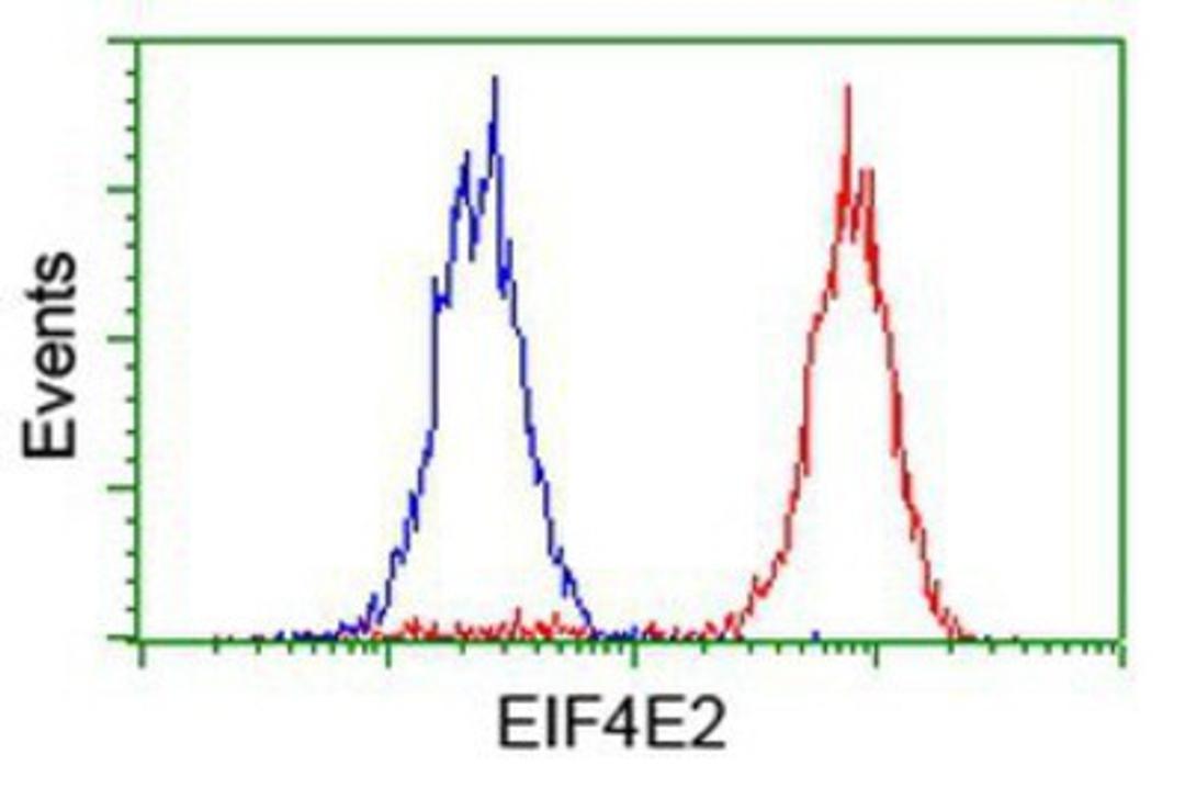 Flow Cytometry: EIF4E2 Antibody (1F11) [NBP2-03611] - Analysis of Hela cells, using anti-EIF4E2 antibody, (Red), compared to a nonspecific negative control antibody (Blue).