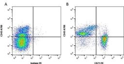 Mouse anti Rat CD71 antibody used for the evaluation of CD71 expression on hair follicle stem cells