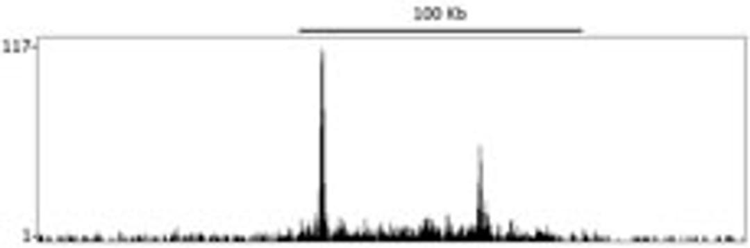 Localization of DOT1L Binding Sites by ChIP-sequencing.