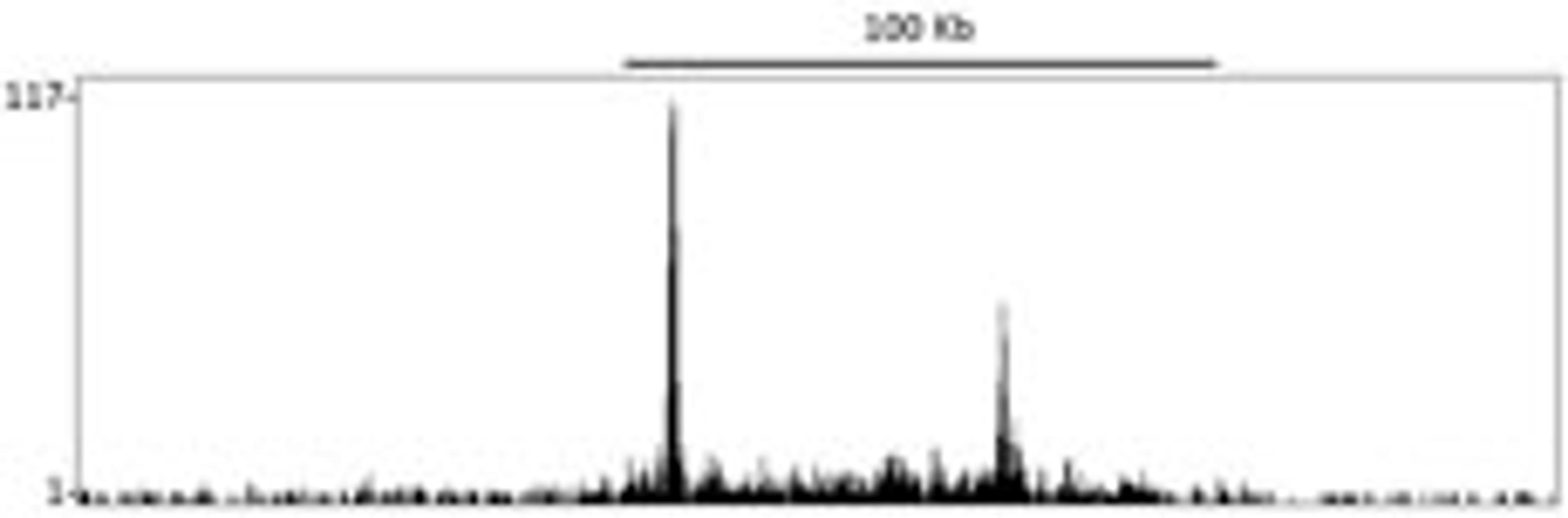 Localization of DOT1L Binding Sites by ChIP-sequencing.