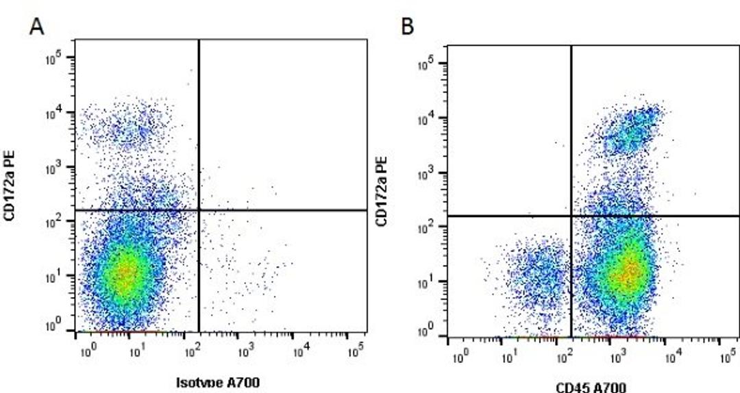 Figure A. Mouse anti Rat CD43 (MCA54F). Figure B. Mouse anti Rat CD43 and Mouse anti Rat CD45Ra. 