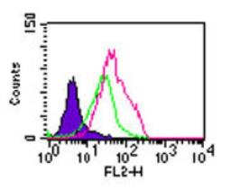 Flow Cytometry: TLR5 Antibody [NBP2-24827] - Intracellular flow analysis of TLR5 in Balb/c mouse splenocytes using TLR5 antibody at 2 ug/10^6 cells. Shaded histogram represents cells without antibody; green represents rabbit IgG isotype control this antibody ; red represents TLR5 antibody. Goat anti-rabbit PE this antibody was used as secondary antibody.