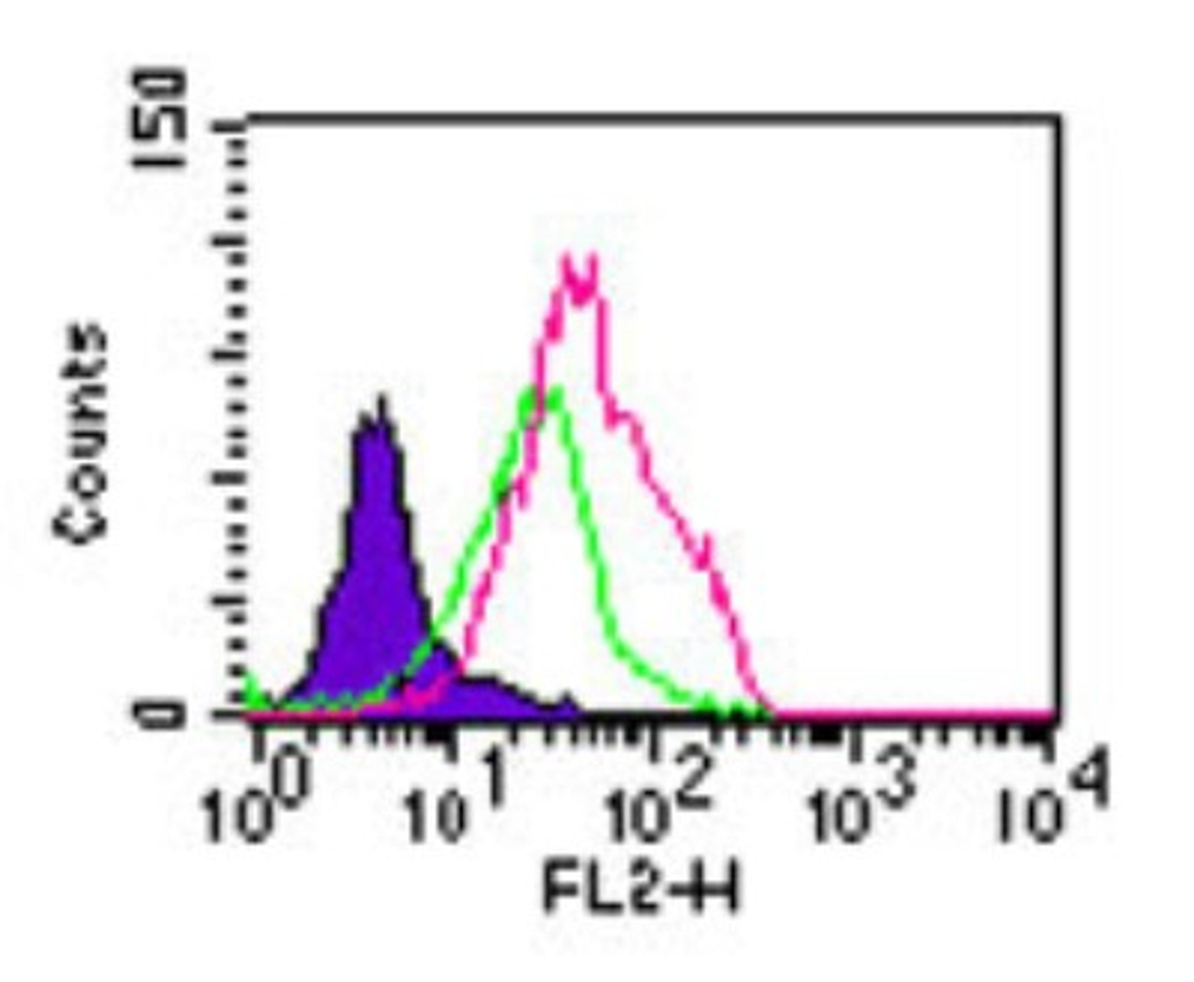 Flow Cytometry: TLR5 Antibody [NBP2-24827] - Intracellular flow analysis of TLR5 in Balb/c mouse splenocytes using TLR5 antibody at 2 ug/10^6 cells. Shaded histogram represents cells without antibody; green represents rabbit IgG isotype control this antibody ; red represents TLR5 antibody. Goat anti-rabbit PE this antibody was used as secondary antibody.