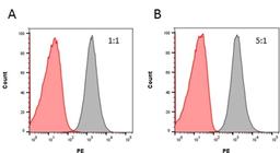 Inhibition of rituximab binding to CD20 by Human Anti-Rituximab Antibody