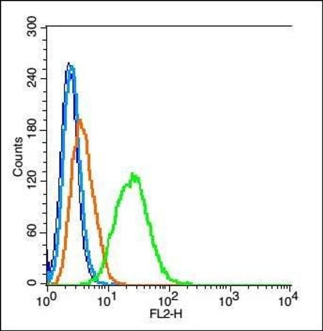 Flow cytometric analysis of RSC 96 cell using SSeCKS antibody.