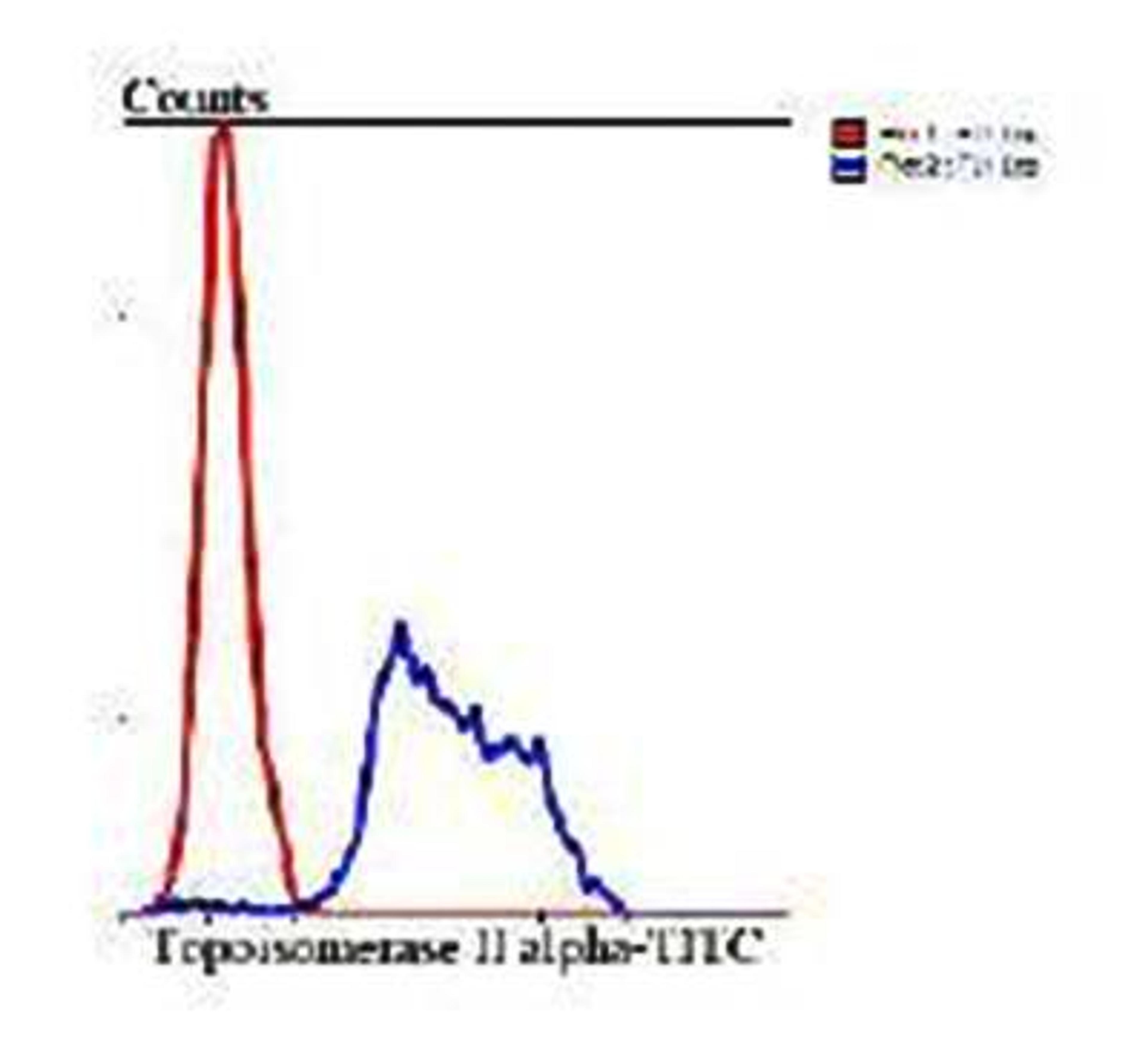 Flow cytometric analysis of Hela cells using Topoisomerase II alpha antibody