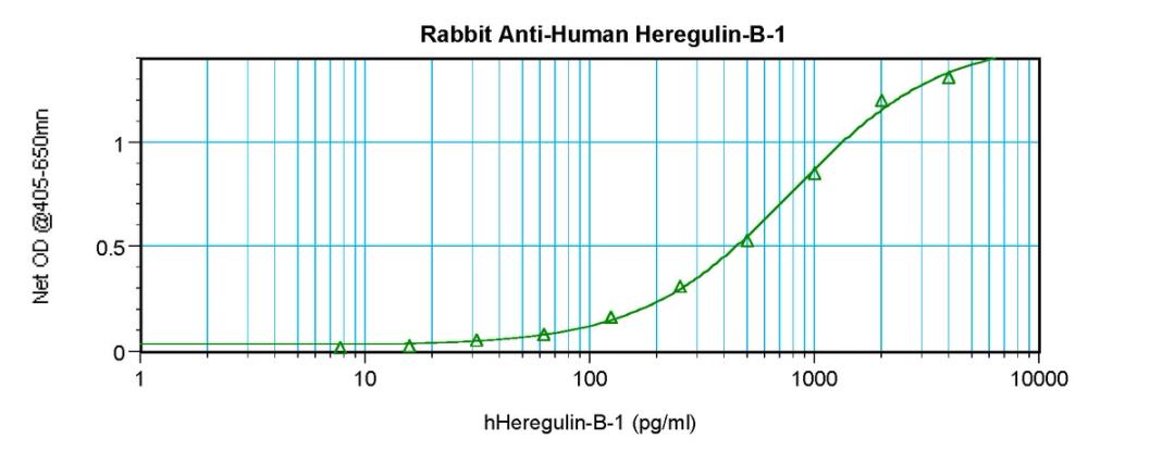 To detect Human Heregulin-beta1 by sandwich ELISA (using 100ul/well antibody solution) a concentration of 0.5 - 2.0 ug/ml of this antibody is required. This antigen affinity purified antibody, in conjunction with ProSci’s Biotinylated Anti-Human Heregulin