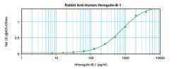 To detect Human Heregulin-beta1 by sandwich ELISA (using 100ul/well antibody solution) a concentration of 0.5 - 2.0 ug/ml of this antibody is required. This antigen affinity purified antibody, in conjunction with ProSci’s Biotinylated Anti-Human Heregulin