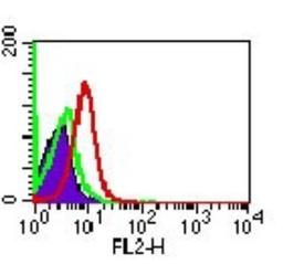 Flow Cytometry: TLR7 Antibody [NB100-56588] - Analysis using the PE conjugate of NB100-56588. Staining of TLR7 in human PBMCs (monocytes) using 0.5 ug/10^6 cells of NBP2-24761. The shaded histogram represents cells alone, green represents PE-conjugated rabbit IgG isotype control (20304D); red represents TLR7 antibody.