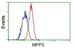 Flow Cytometry: MPP3 Antibody (8F1) [NBP2-02659] - Analysis of Jurkat cells, using anti-MPP3 antibody, (Red), compared to a nonspecific negative control antibody (Blue).