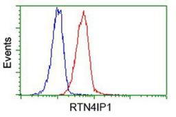 Flow Cytometry: RTN4IP1 Antibody (3B2) [NBP2-00478] - Analysis of Jurkat cells, using anti-RTN4IP1 antibody, (Red), compared to a nonspecific negative control antibody (Blue).