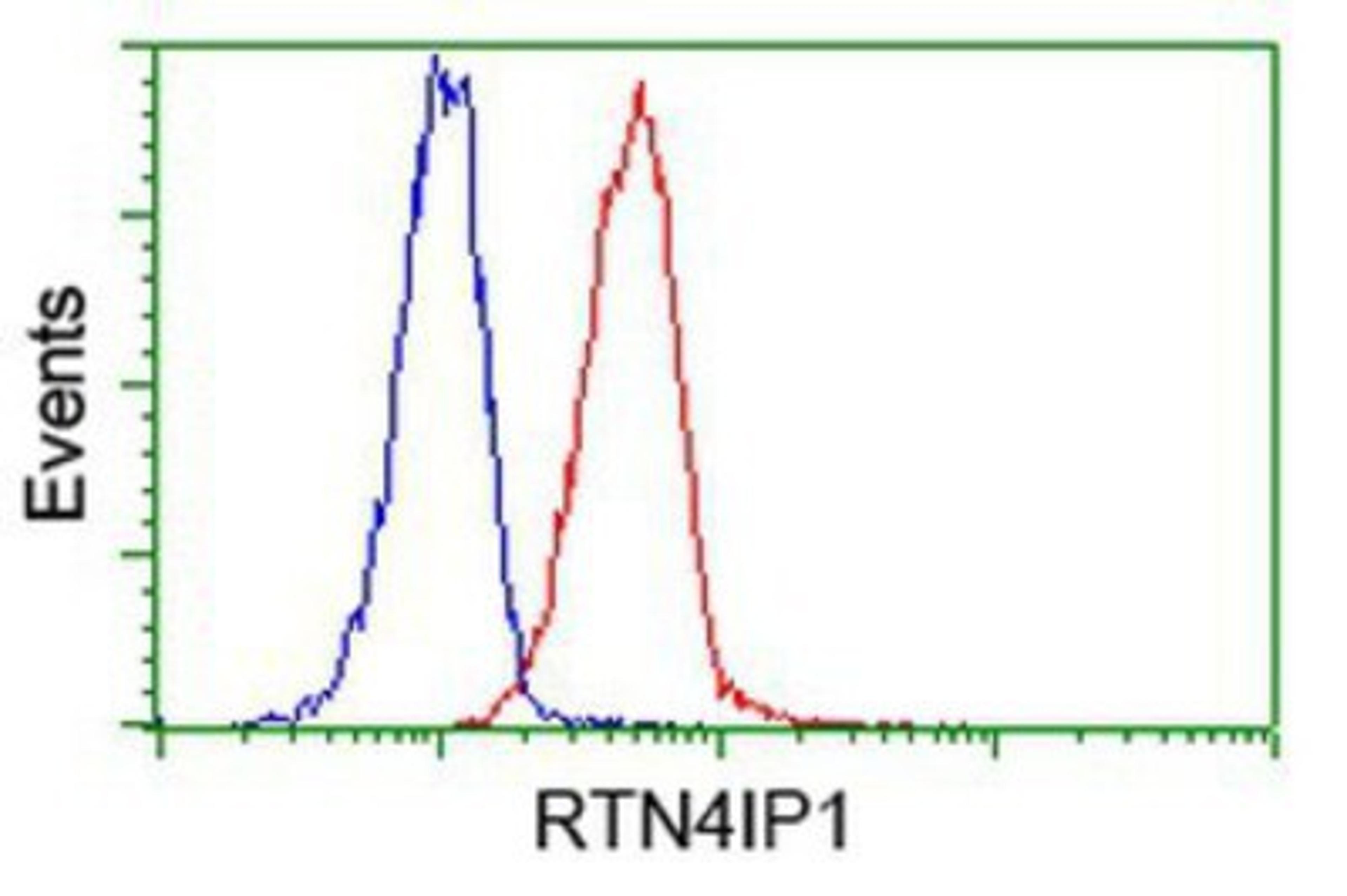 Flow Cytometry: RTN4IP1 Antibody (3B2) [NBP2-00478] - Analysis of Jurkat cells, using anti-RTN4IP1 antibody, (Red), compared to a nonspecific negative control antibody (Blue).